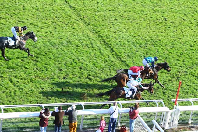 Photo d'arrivée de la course pmu PRIX PRE CATELAN à AUTEUIL le Mardi 27 octobre 2015