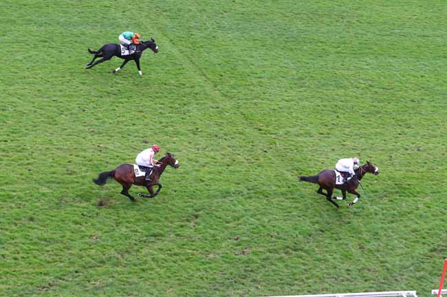 Photo d'arrivée de la course pmu PRIX DE PORNIC à AUTEUIL le Mardi 27 octobre 2015