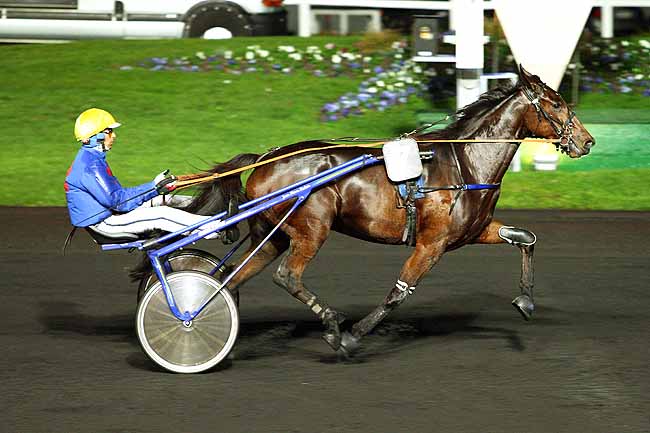 Photo d'arrivée de la course pmu PRIX LAMEIA à PARIS-VINCENNES le Mardi 27 octobre 2015
