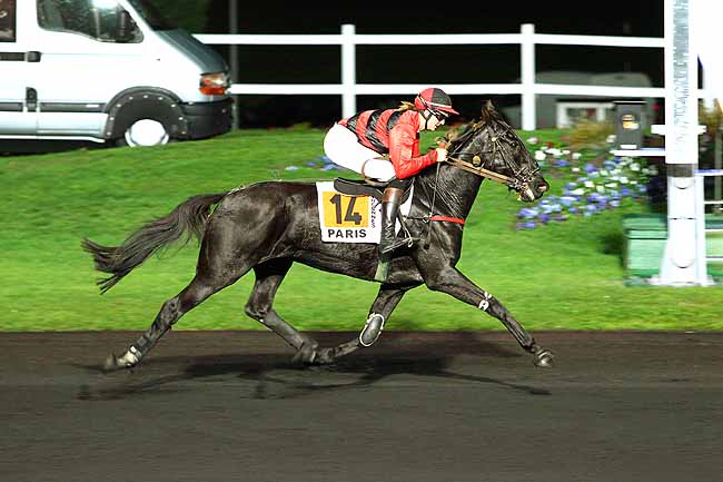 Photo d'arrivée de la course pmu PRIX BRUCIA à PARIS-VINCENNES le Mardi 27 octobre 2015