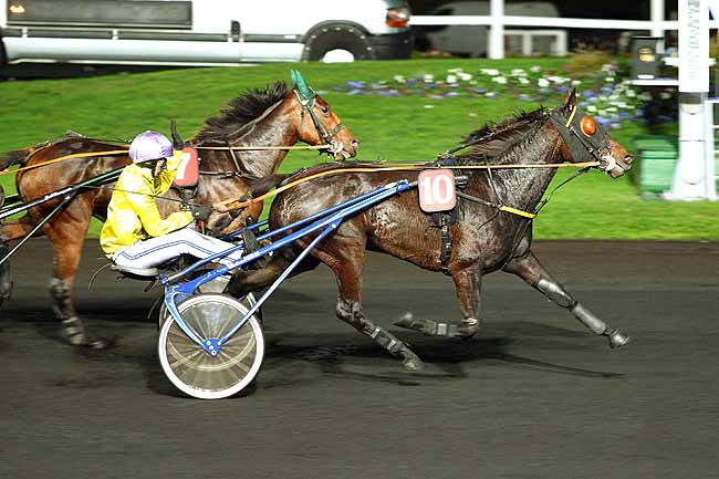 Photo d'arrivée de la course pmu PRIX ANGELINA à PARIS-VINCENNES le Mardi 27 octobre 2015