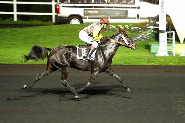 Photo d'arrivée de la course pmu PRIX JUSTICIA à PARIS-VINCENNES le Mardi 27 octobre 2015