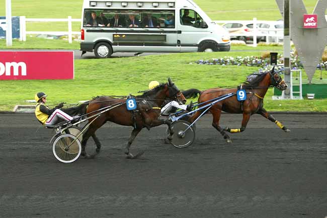 Photo d'arrivée de la course pmu PRIX DES CLEMATITES à PARIS-VINCENNES le Mercredi 28 octobre 2015