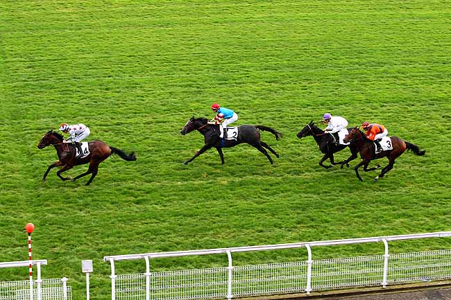 Photo d'arrivée de la course pmu PRIX SAINT-CRESPIN à MAISONS-LAFFITTE le Mercredi 28 octobre 2015