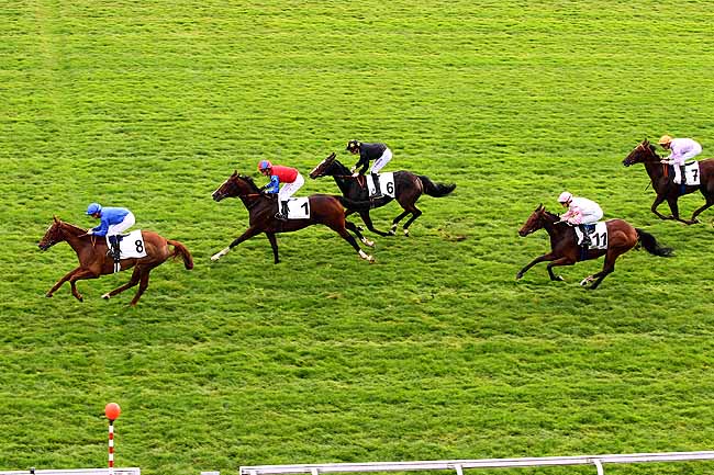 Photo d'arrivée de la course pmu PRIX TABOUN à MAISONS-LAFFITTE le Mercredi 28 octobre 2015