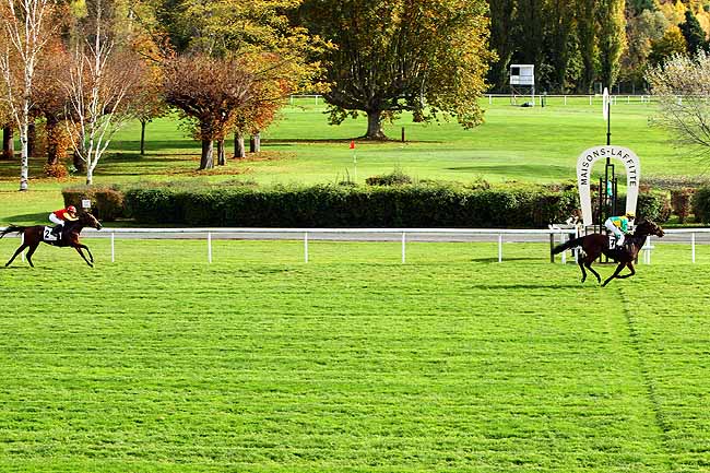 Photo d'arrivée de la course pmu PRIX DES LIONNES à MAISONS-LAFFITTE le Mercredi 28 octobre 2015