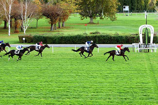 Photo d'arrivée de la course pmu PRIX DE LA ROUTE DES PAVILLONS à MAISONS-LAFFITTE le Mercredi 28 octobre 2015