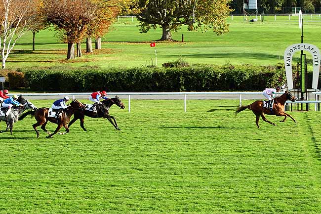 Photo d'arrivée de la course pmu PRIX DE LA ROUTE NEUVE à MAISONS-LAFFITTE le Mercredi 28 octobre 2015