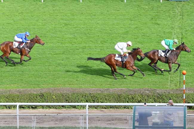Photo d'arrivée de la course pmu PRIX CHLORIS à SAINT-CLOUD le Jeudi 29 octobre 2015