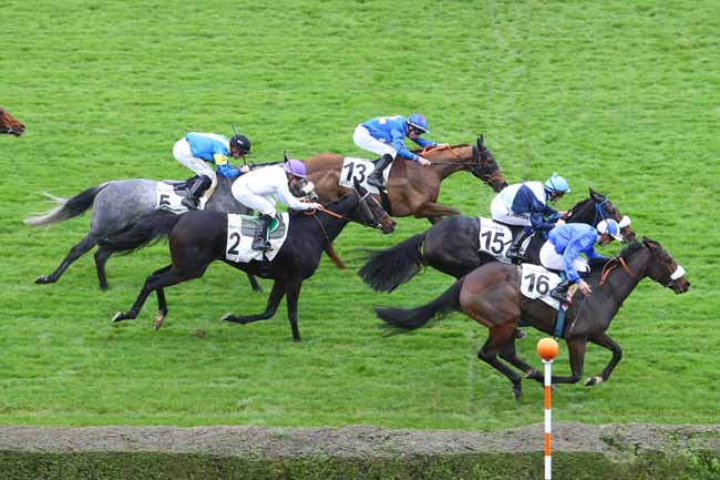 Photo d'arrivée de la course pmu PRIX DU BRIONNAIS à SAINT-CLOUD le Jeudi 29 octobre 2015