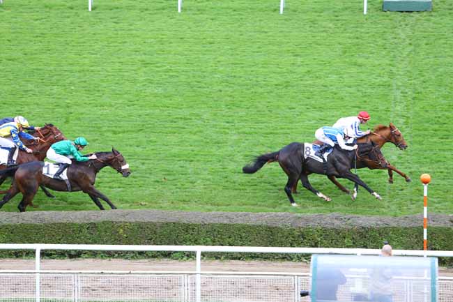 Photo d'arrivée de la course pmu PRIX NINO à SAINT-CLOUD le Jeudi 29 octobre 2015