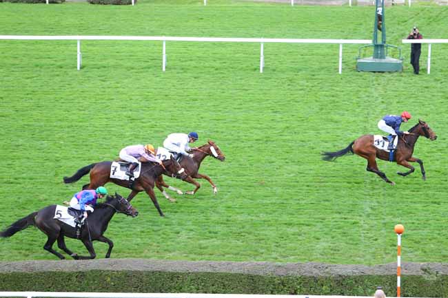 Photo d'arrivée de la course pmu PRIX DE SAINT-LAMBERT à SAINT-CLOUD le Jeudi 29 octobre 2015