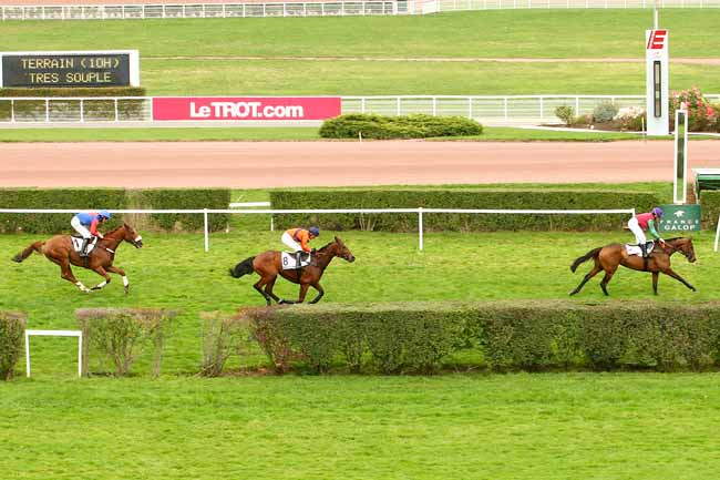 Photo d'arrivée de la course pmu STEEPLE-CHASE NATIONAL DES ANGLO-ARABES à ENGHIEN le Jeudi 29 octobre 2015