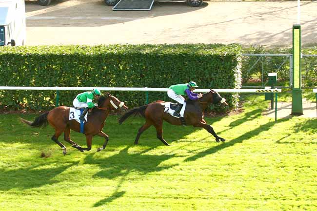 Photo d'arrivée de la course pmu PRIX DE BRICHEBAY à CHANTILLY le Vendredi 30 octobre 2015