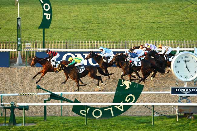 Photo d'arrivée de la course pmu PRIX DE LA FORET DE MONTMORENCY à CHANTILLY le Vendredi 30 octobre 2015