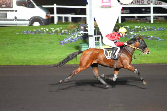 Photo d'arrivée de la course pmu PRIX MENSA à PARIS-VINCENNES le Vendredi 30 octobre 2015