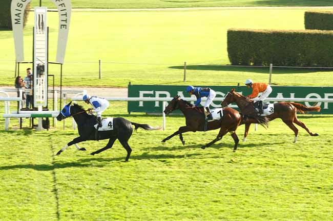Photo d'arrivée de la course pmu PRIX SANCTUS à MAISONS-LAFFITTE le Samedi 31 octobre 2015