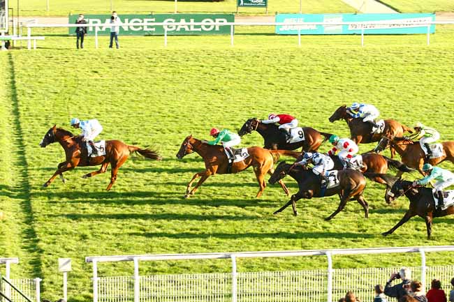 Photo d'arrivée de la course pmu PRIX DE SEINE-ET-OISE à MAISONS-LAFFITTE le Samedi 31 octobre 2015