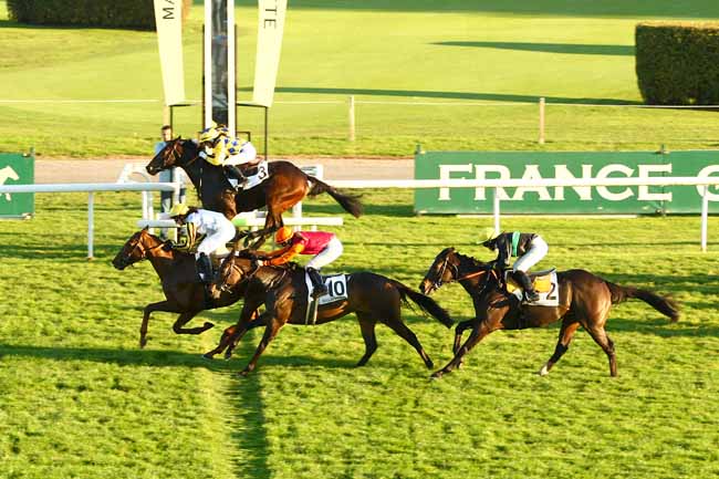 Photo d'arrivée de la course pmu PRIX DES NAIADES à MAISONS-LAFFITTE le Samedi 31 octobre 2015