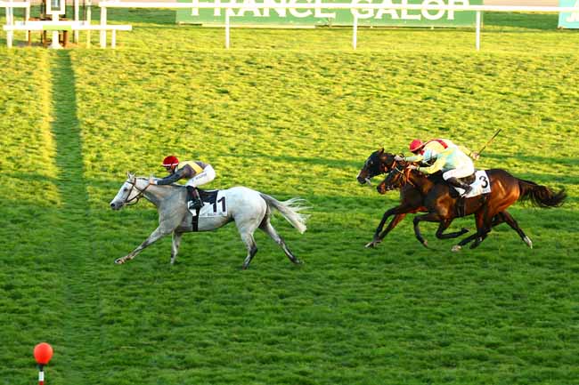 Photo d'arrivée de la course pmu PRIX DE MAURIES à MAISONS-LAFFITTE le Samedi 31 octobre 2015