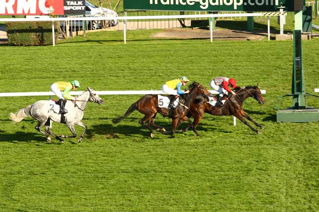 Photo d'arrivée de la course pmu PRIX PAUL-NOEL DELAHOUTRE à SAINT-CLOUD le Dimanche 1 novembre 2015