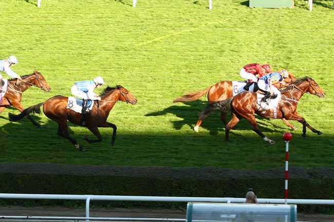 Photo d'arrivée de la course pmu CRITERIUM INTERNATIONAL à SAINT-CLOUD le Dimanche 1 novembre 2015