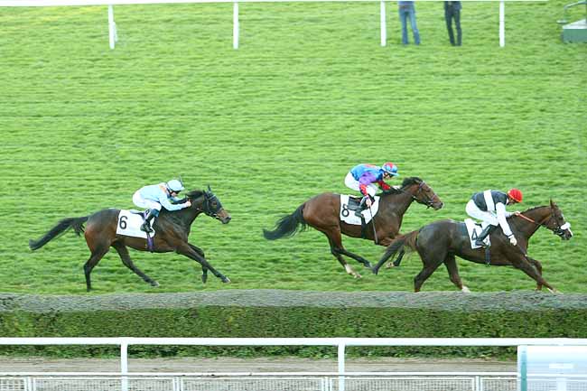 Photo d'arrivée de la course pmu PRIX DE FLORE à SAINT-CLOUD le Dimanche 1 novembre 2015