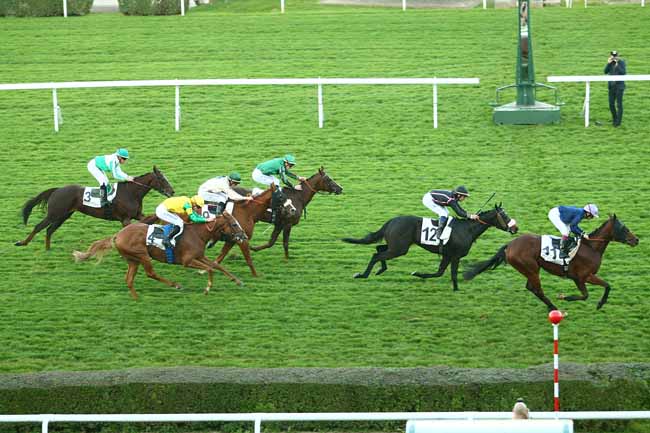 Photo d'arrivée de la course pmu PRIX DE CHEMOITOU à SAINT-CLOUD le Dimanche 1 novembre 2015