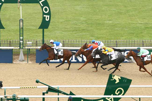 Photo d'arrivée de la course pmu PRIX DES TERRES NOIRES à CHANTILLY le Lundi 2 novembre 2015