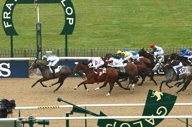 Photo d'arrivée de la course pmu PRIX DE LA FORET D'ERMENONVILLE à CHANTILLY le Lundi 2 novembre 2015