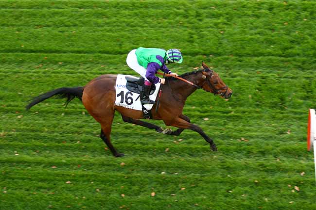 Photo d'arrivée de la course pmu PRIX DE SURVILLIERS à CHANTILLY le Mardi 3 novembre 2015