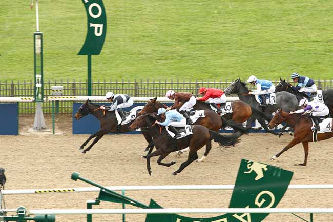 Photo d'arrivée de la course pmu PRIX DES BRISEES à CHANTILLY le Mardi 3 novembre 2015