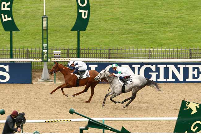 Photo d'arrivée de la course pmu PRIX DE LA ROUTE DE LA LOGE à CHANTILLY le Mardi 3 novembre 2015