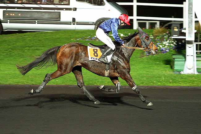 Photo d'arrivée de la course pmu PRIX MERAK à PARIS-VINCENNES le Mardi 3 novembre 2015