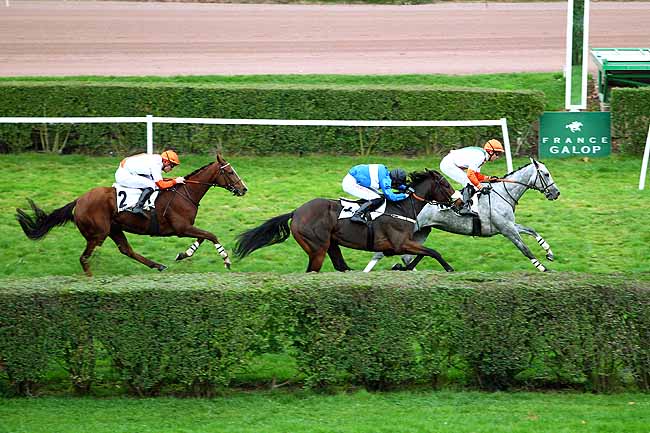 Photo d'arrivée de la course pmu PRIX DU SIMPLON à ENGHIEN le Mercredi 4 novembre 2015