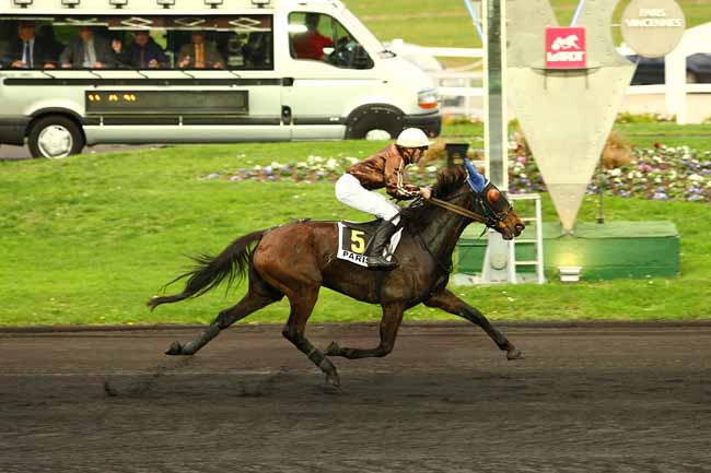 Photo d'arrivée de la course pmu PRIX D'ANGERS à PARIS-VINCENNES le Jeudi 5 novembre 2015