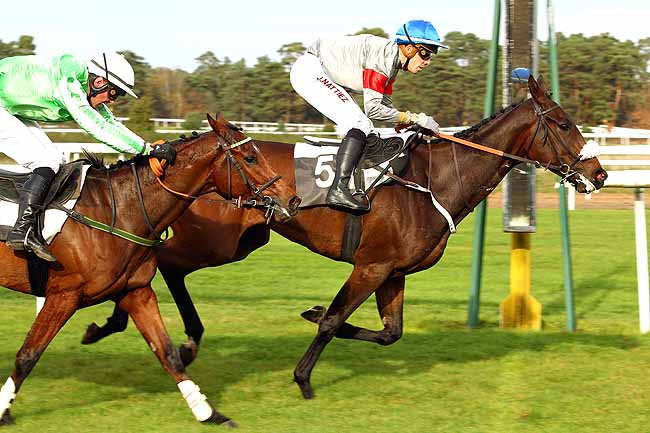 Photo d'arrivée de la course pmu PRIX DU COMTE ANTOINE DE GONTAUT-BIRON à FONTAINEBLEAU le Jeudi 5 novembre 2015