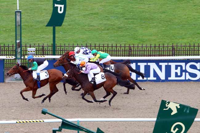 Photo d'arrivée de la course pmu PRIX DE L'ALLEE CAMELIA à CHANTILLY le Vendredi 6 novembre 2015