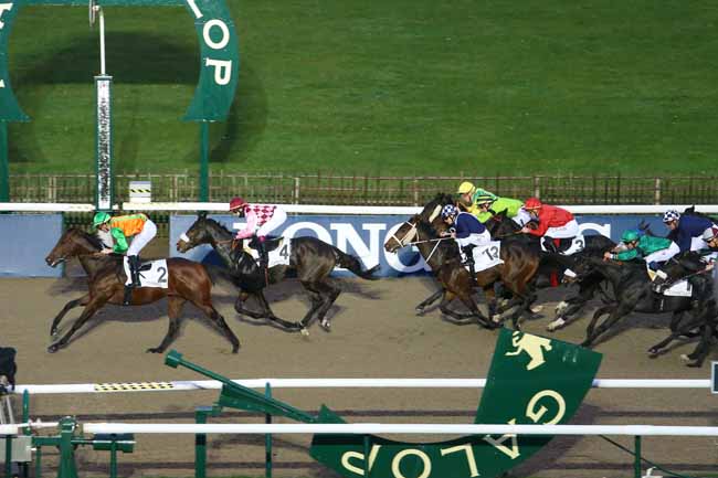 Photo d'arrivée de la course pmu PRIX DU PADDOCK à CHANTILLY le Vendredi 6 novembre 2015