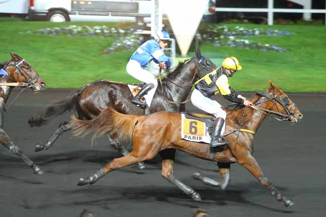 Photo d'arrivée de la course pmu PRIX FRIZZA à PARIS-VINCENNES le Vendredi 6 novembre 2015