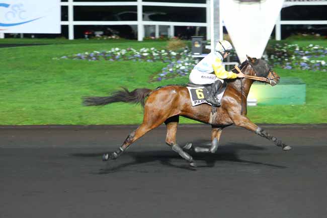 Photo d'arrivée de la course pmu PRIX SOPHIA à PARIS-VINCENNES le Vendredi 6 novembre 2015