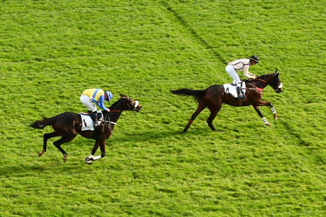 Photo d'arrivée de la course pmu PRIX BOURNOSIENNE à AUTEUIL le Samedi 7 novembre 2015