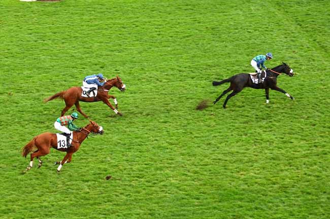Photo d'arrivée de la course pmu PRIX KETCH à AUTEUIL le Samedi 7 novembre 2015