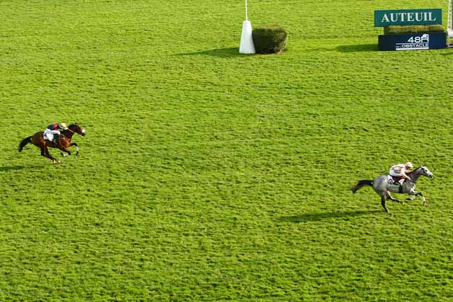 Photo d'arrivée de la course pmu PRIX CAMBACERES  - GRANDE COURSE DE HAIES DES 3 ANS à AUTEUIL le Dimanche 8 novembre 2015