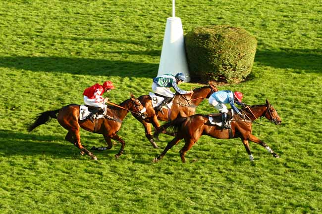 Photo d'arrivée de la course pmu PRIX LA HAYE JOUSSELIN à AUTEUIL le Dimanche 8 novembre 2015