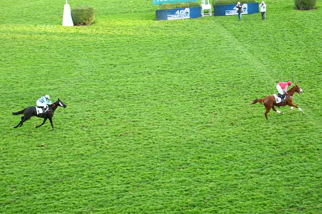 Photo d'arrivée de la course pmu PRIX ALADDIN à AUTEUIL le Dimanche 8 novembre 2015