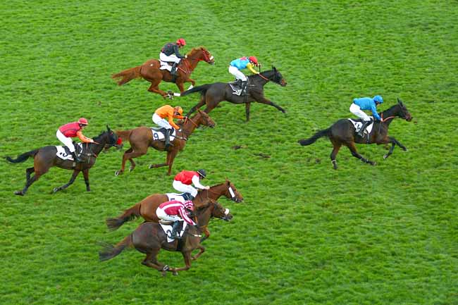 Photo d'arrivée de la course pmu PRIX MONDEVILLE à AUTEUIL le Dimanche 8 novembre 2015