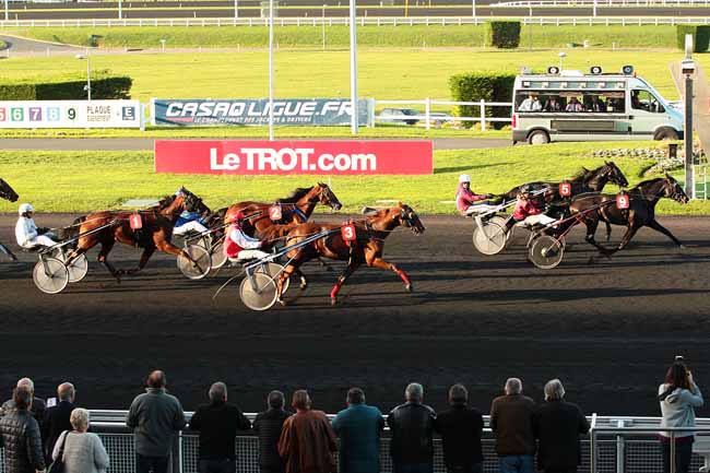 Photo d'arrivée de la course pmu PRIX DU LANGUEDOC à PARIS-VINCENNES le Lundi 9 novembre 2015