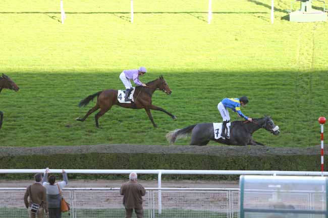 Photo d'arrivée de la course pmu PRIX DE CHAVILLE à SAINT-CLOUD le Lundi 9 novembre 2015