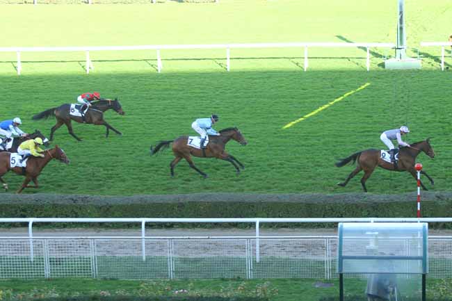 Photo d'arrivée de la course pmu PRIX SOLITUDE à SAINT-CLOUD le Lundi 9 novembre 2015